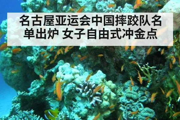 名古屋亚运会中国摔跤队名单出炉 女子自由式冲金点