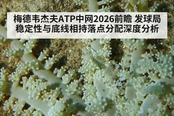 梅德韦杰夫ATP中网2026前瞻 发球局稳定性与底线相持落点分配深度分析